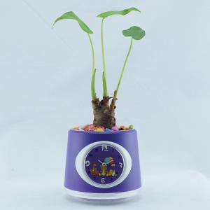 flowerpot clock